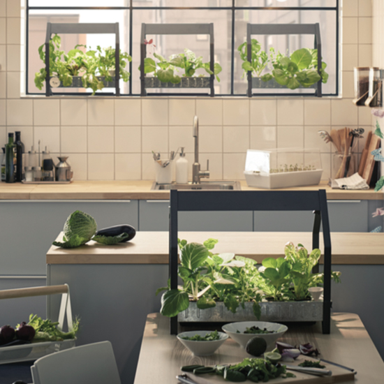Ikea launches hydroponic indoor gardening kit